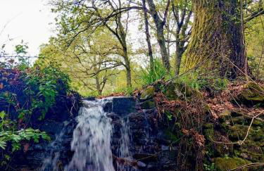 Casa Poesia - Foto 24