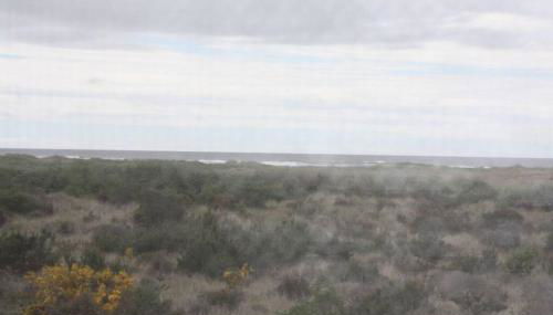 The Beachwalk - Foto 2