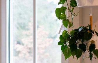 Harzquartier - Foto 28