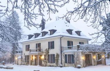 Chateau d 'Echenevex, Geneva - Foto 1