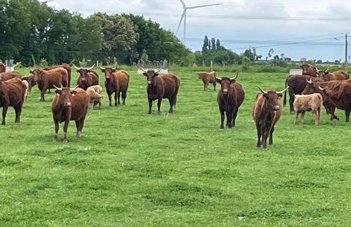 Gite La ferme aux vaches - Foto 1