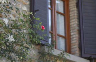 Sweet in Chianti - Photo 3