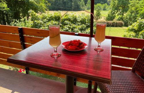 Vrata Plešivice - Foto 10