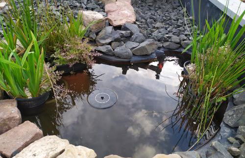 Ferienhaus Pauline - Foto 20