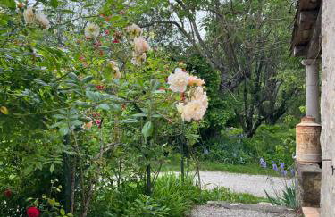 GITE COCOTTE - Foto 20