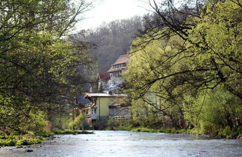 Ferienwohnungen mit Wellnessoase in Thale OT Altenbrak - Foto 24
