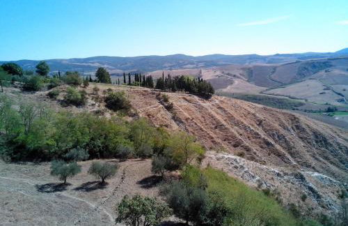 Agriturismo Collomici - Foto 67