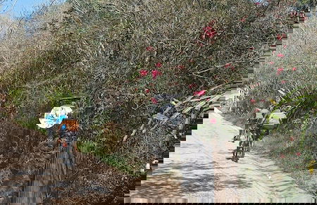 Skale peregrino ecolodge - Foto 27