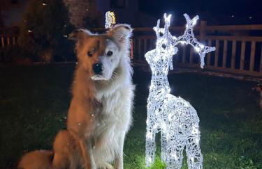 C'Genoveva Complejo Turistico Rural CaleaCabo - Foto 65