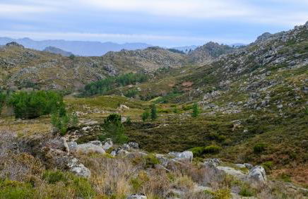 Villas do Laboreiro - Casa 8 - Foto 9