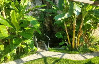 Filoxenia Olive Garden luxury villas and suites - Foto 63