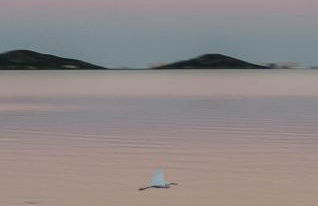 Fantastic, Front line, Penthouse Apartment with amazing views - Foto 29