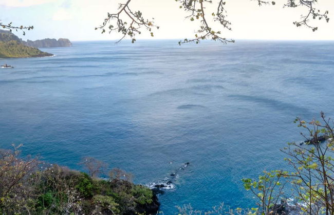 Trekking nella baia di Golfinhos - Foto 1