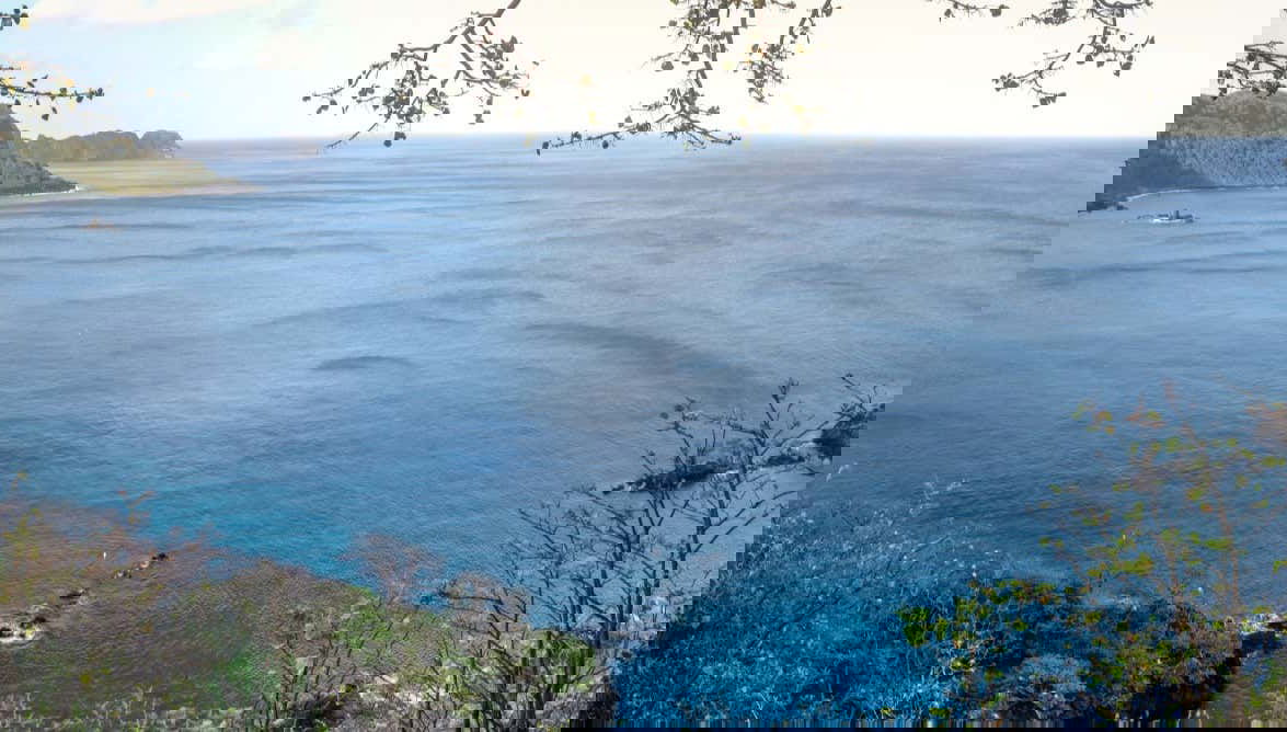 Trekking nella baia di Golfinhos