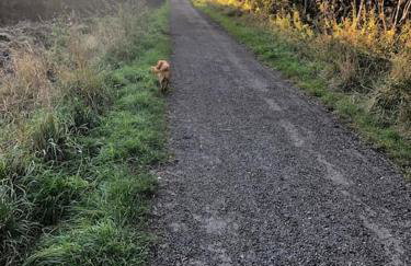 The Apartment - Foto 56