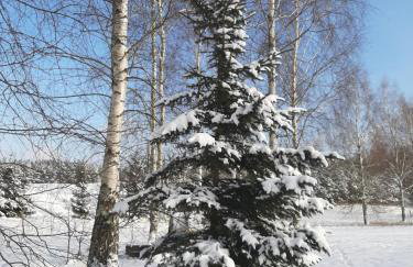 GREEN HOUSE - Foto 23