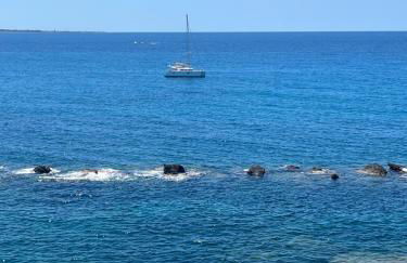 Residence Giudecca Fronte Mare by Salentoville Gallipoli - Foto 57