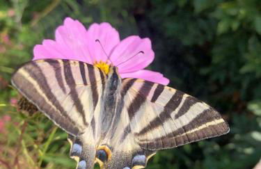 Casa Lerryn - Foto 38