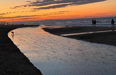 lacasitadelsurf - Photo 23