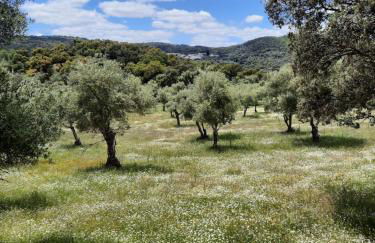 Casa de Piedras by SIERRA VIVA desing - Foto 23