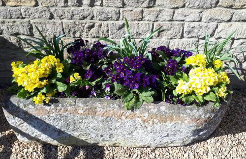 Greystones Lodge - Foto 27