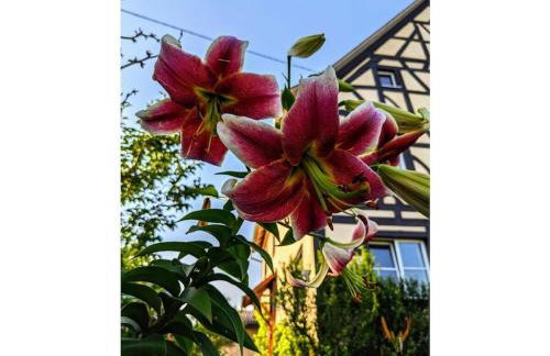 Holiday apartment in Salem with swimming pool - Foto 5