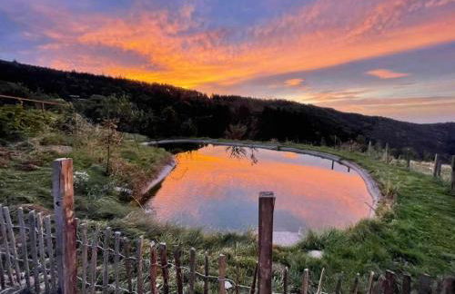 Berghütte am Grandsberg - Foto 6