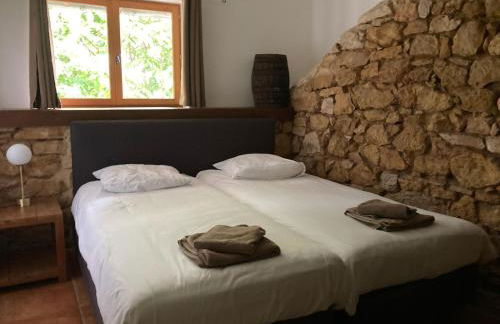 Chateau Camp del Saltre Prayssac - Foto 8