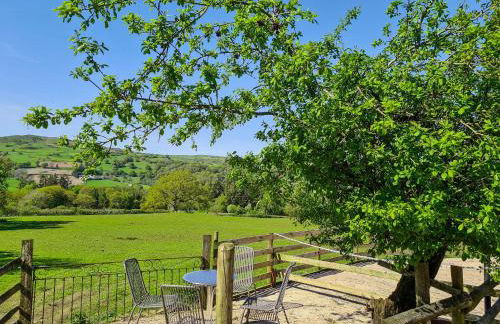 Fedwr Gog Cottage - Photo 15