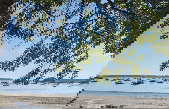 Woodland Apartments-Acadia National Park - Photo 13