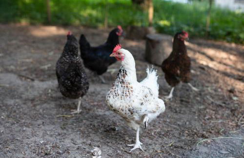 Nest Stay By The Butler Collection - Foto 28