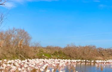 Studio pour deux avec terrasse aux portes de la Camargue - Foto 42