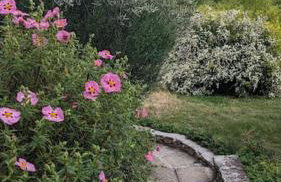 Domaine Provençal "Le Timon" - Foto 14
