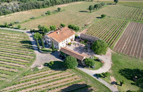 Gîte Mimosa au milieu des vignes - Château les Apiès - Foto 24
