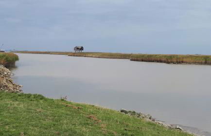 Ankerplatz - Foto 30