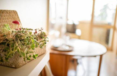 Apartamento Praça - Vistas sobre a cidade - Foto 15