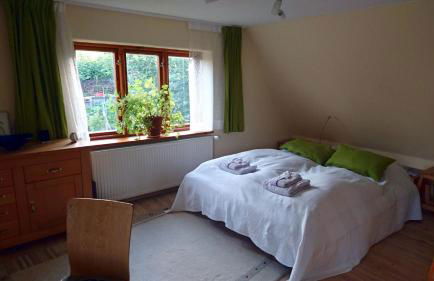 Hale Aloha - Foto 43