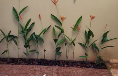 BrotasLoft - Foto 26