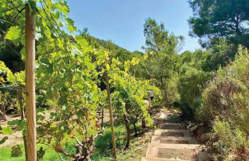 JAMES SIB33 - contemporary design villa with pool Cap Martinet Ibiza - Foto 17