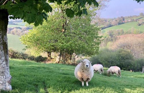 The Piggery Dulverton - Foto 43