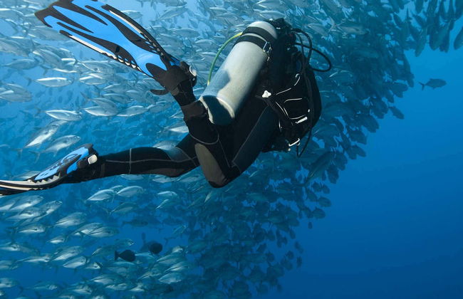 Buceo en Moalboal - Foto 7