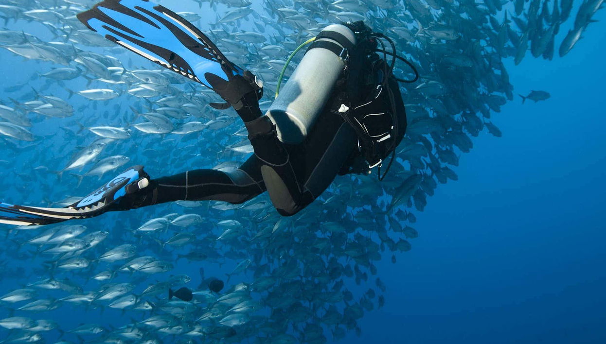 Scuba Diving in Moalboal