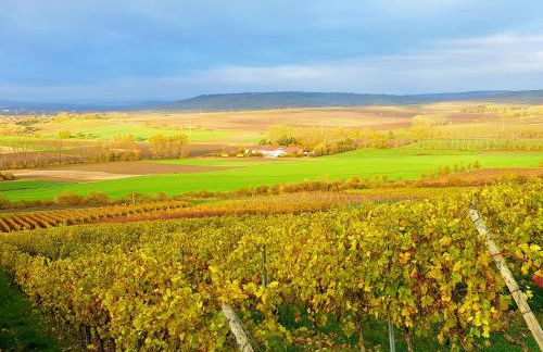 Ferienhaus Am Schildberg - Foto 29