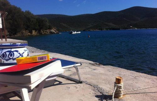 Villa Alexandra - Photo 2