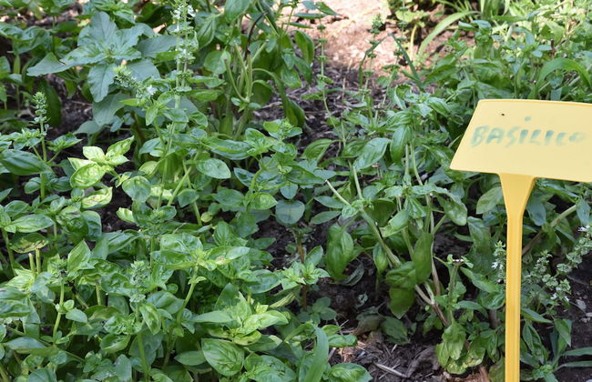 Agriturismo Il Colle - Foto 80