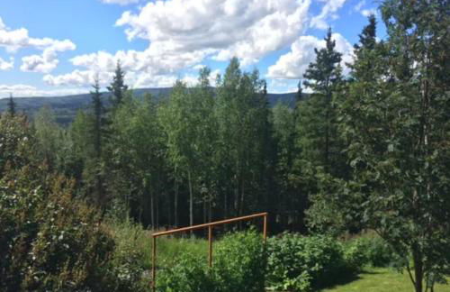 Moose Mountain Cabin- Cozy retreat with aurora views - Foto 37