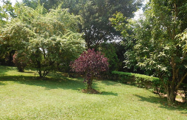 Captivating 2-bed Cottage in Kampala - Foto 13