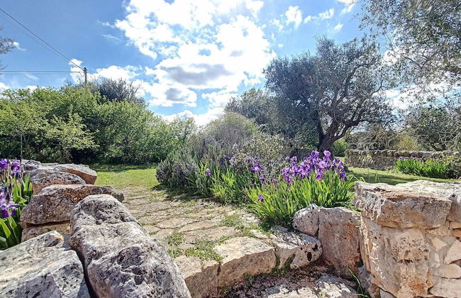 Cis002 in Cisternino - Foto 6