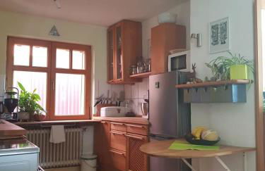 Ältestes Haus in Quentel - Ferienwohnung 2 mit Dachterrasse - Foto 11