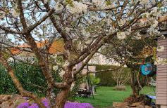 Ferienwohnung-Panoramablick-Küssaberg - Foto 29